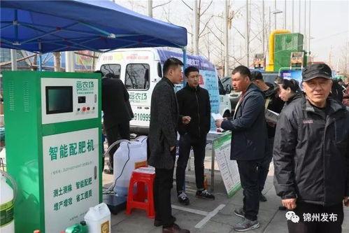 锦州今日爆料电话,电话揭露惊人内幕，真相令人震惊！